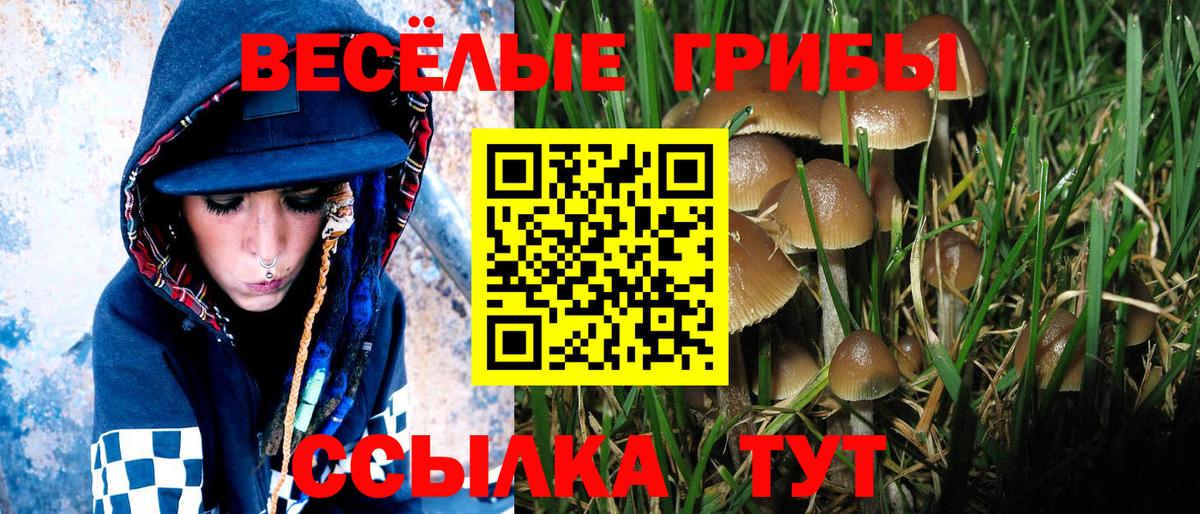 Тимашёвск  Псилоцибиновые грибы MAGIC MUSHROOMS  Галлюциногенные грибы мухоморы  Вход с VPN 