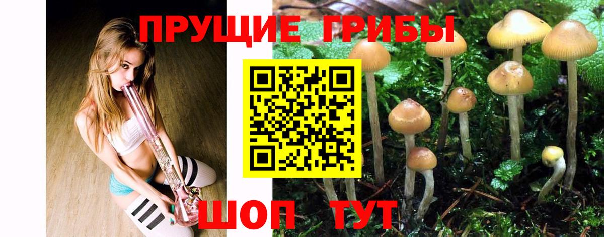 Псилоцибиновые грибы прущие грибы Тимашёвск